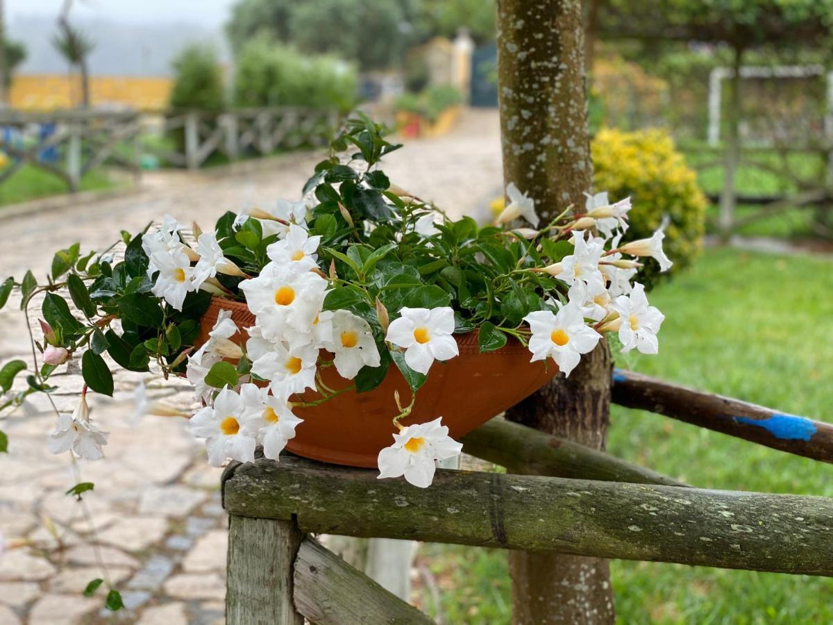 Charm Azenha Dobidos Farm Villa Olho Marinho Exteriör bild